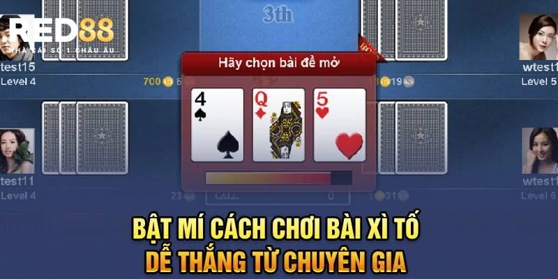 Xì Tố – Điều Cần Biết Dành Cho Người Mới Tham Gia Red88